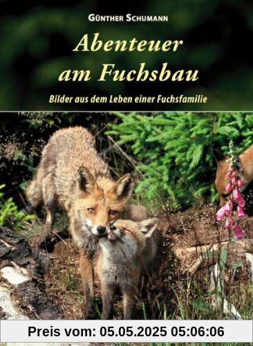 Abenteuer am Fuchsbau: Bilder aus dem Leben einer Fuchsfamilie