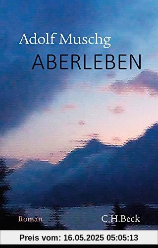 Aberleben: Roman