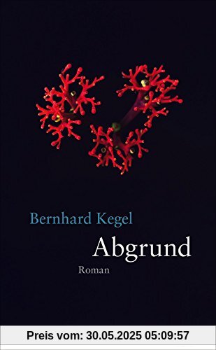 Abgrund