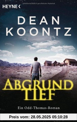 Abgrundtief: Odd Thomas 6 - Roman