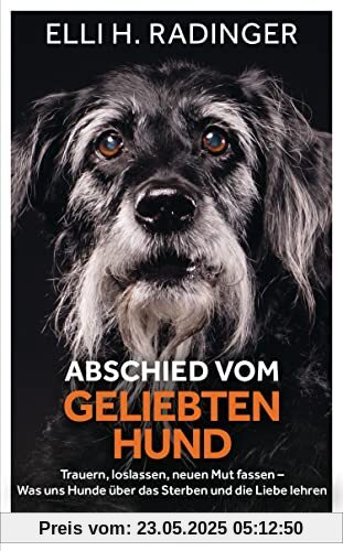 Abschied vom geliebten Hund: Trauern, loslassen, neuen Mut fassen – Was uns Hunde über das Sterben und die Liebe lehren