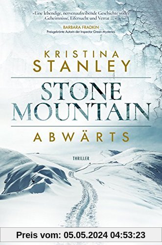Abwärts: ein Stone Mountain Thriller