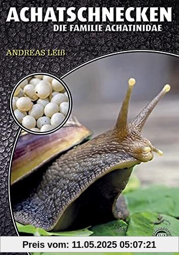 Achatschnecken: Die Familie Achatinidae (Art für Art: Terraristik)