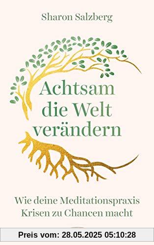 Achtsam die Welt verändern: Wie deine Meditationspraxis Krisen zu Chancen macht