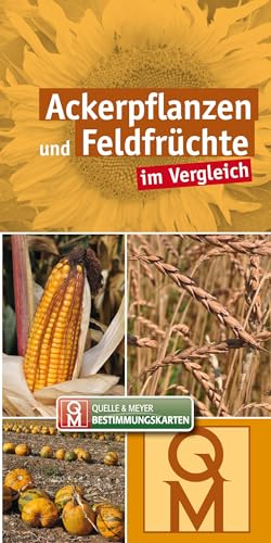 Ackerpflanzen und Feldfrüchte: im Vergleich (Quelle & Meyer Bestimmungskarten)