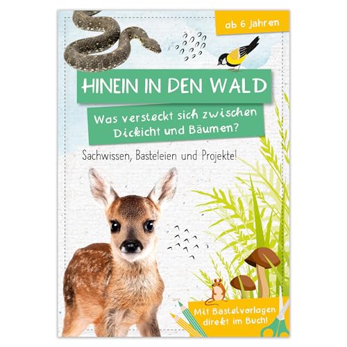 Activity Heft: Hinein in den Wald - Was versteckt sich zwischen Dickicht und Bäumen?: Lern- und Bastelspaß rund um den Wald – für Kinder ab 6 Jahren mit Rätseln, Malvorlagen und Bastelideen von kiDIYs