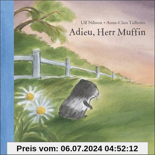Adieu, Herr Muffin: Farbiges Bilderbuch
