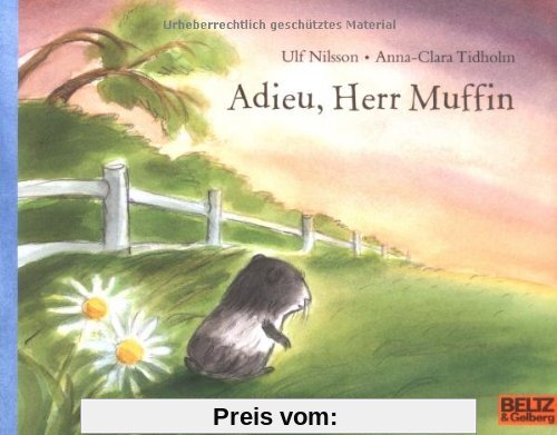 Adieu, Herr Muffin: Vierfarbiges Bilderbuch (MINIMAX)