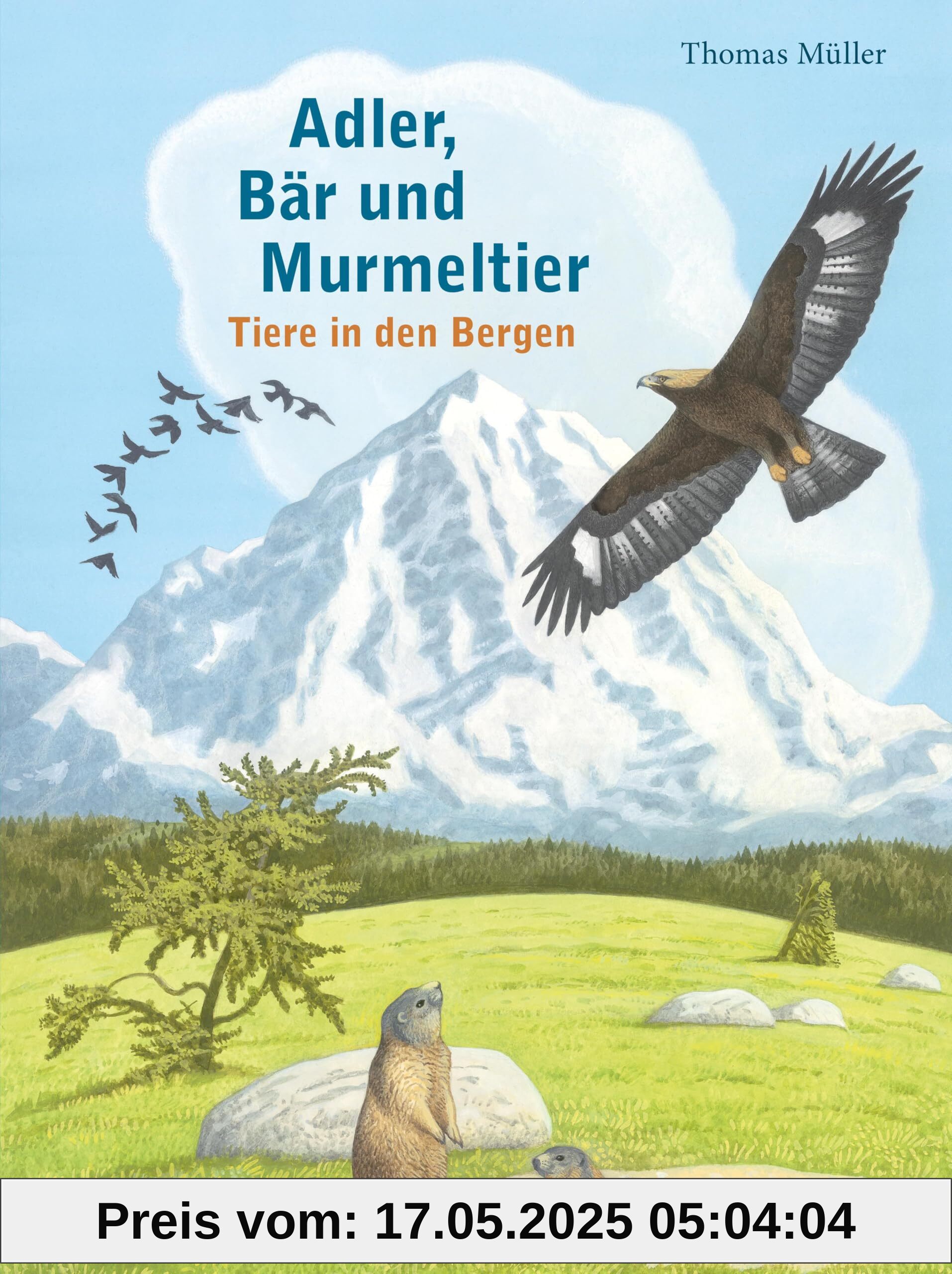 Adler, Bär und Murmeltier: Tiere in den Bergen