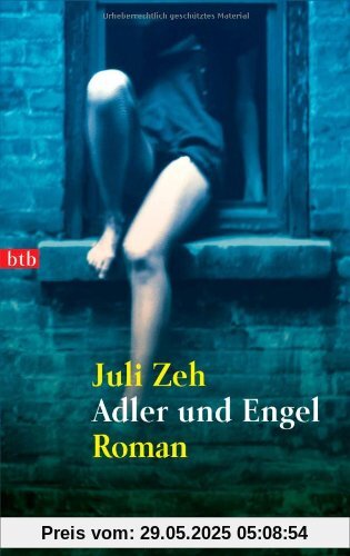 Adler und Engel: Roman