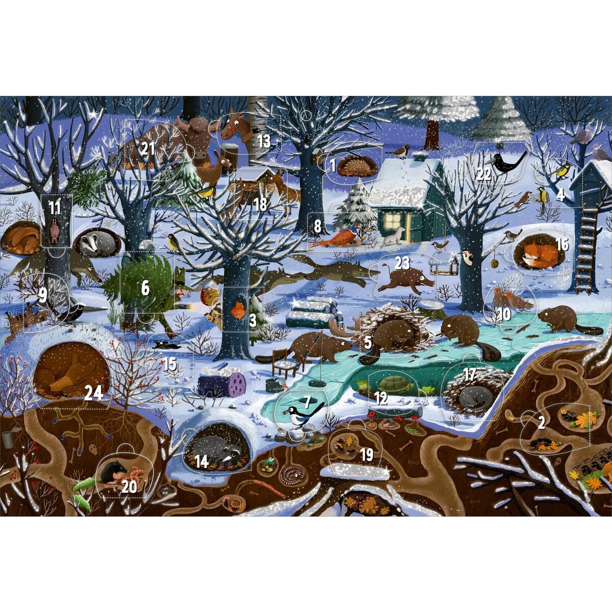 Adventskalender - Winter im Wald | Wandkalender von Ars Edition GmbH