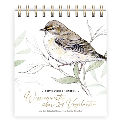 Adventskalender Wissenswertes über 24 Vogelarten: Adventskalender von Grätz Verlag