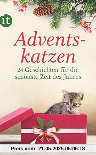 Adventskatzen: 24 Geschichten für die schönste Zeit des Jahres (insel taschenbuch)