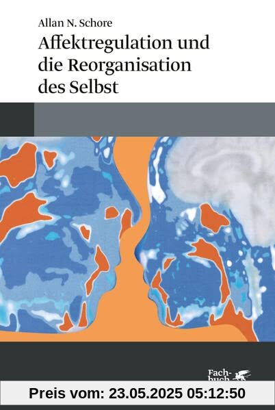 Affektregulation und die Reorganisation des Selbst