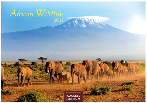 African Wildlife 2025 S 24x35 cm von CASARES EDITION