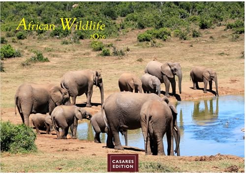 African Wildlife 2026 S 24x35 cm African Wildlife 2026 S 24x35 cm von CASARES EDITION