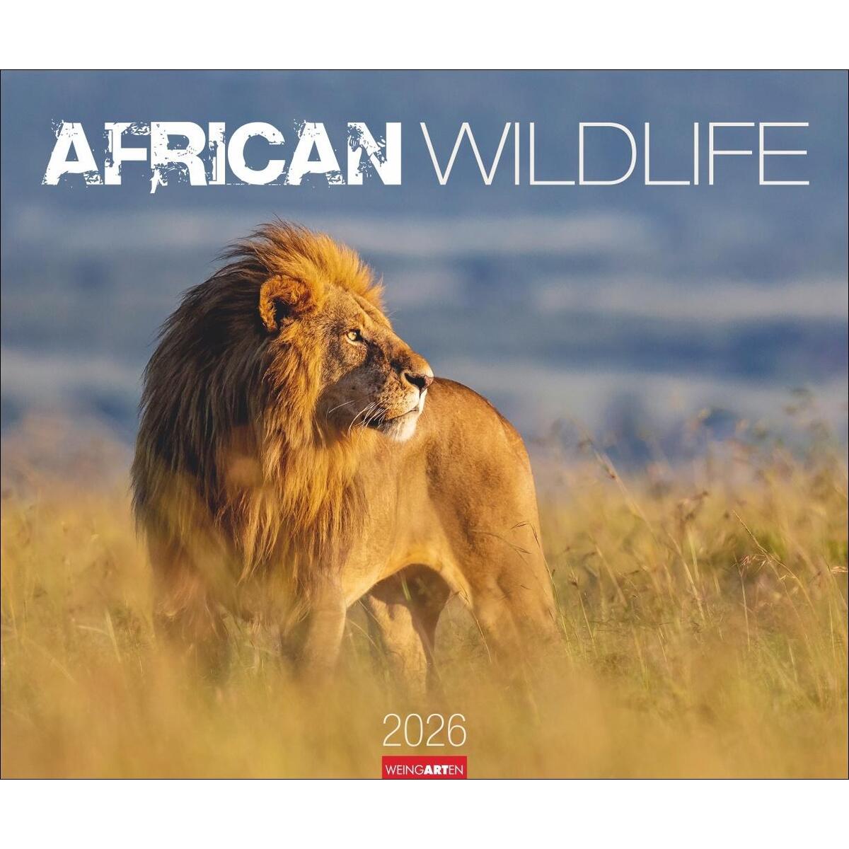 African Wildlife Kalender 2026 African Wildlife Kalender 2026 von Weingarten