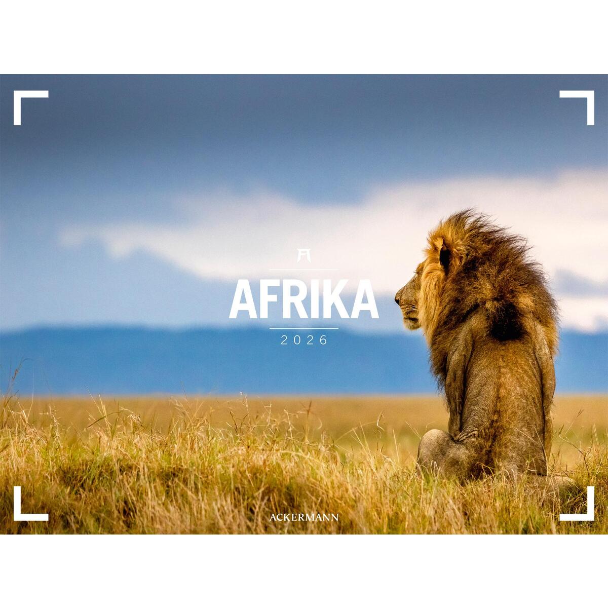 Afrika - Ackermann Gallery Kalender 2026 Afrika - Ackermann Gallery Kalender 2026 von Ackermann Kunstverlag