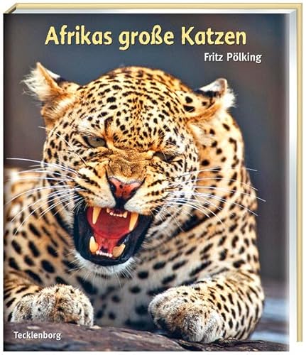 Afrikas große Katzen: Gepard, Löwe, Leopard von Tecklenborg