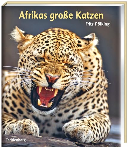 Afrikas große Katzen: Gepard, Löwe, Leopard von Tecklenborg