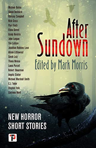 After Sundown (Fiction Without Frontiers) von FLAME TREE PRESS