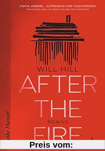 After the Fire: Roman (Reihe Hanser)