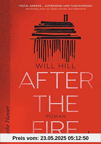 After the Fire: Roman (Reihe Hanser)