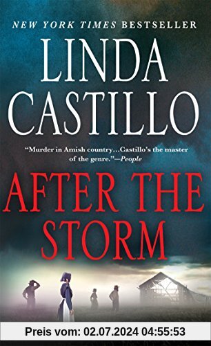 After the Storm (Kate Burkholder Novels)