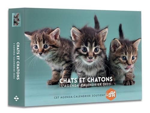 Agenda - Calendrier Chats et chatons 2025 Agenda - Calendrier Chats et chatons 2025 von HUGO IMAGE