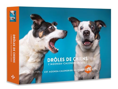 Agenda - Calendrier Drôles de chiens 2025 Agenda - Calendrier Drôles de chiens 2025 von HUGO IMAGE