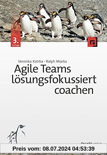 Agile Teams lösungsfokussiert coachen