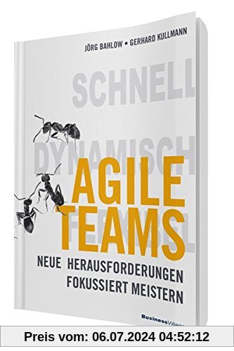 Agile Teams: Neue Herausforderungen fokussiert meistern