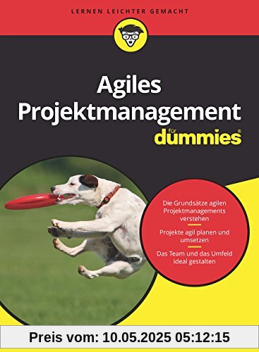 Agiles Projektmanagement für Dummies