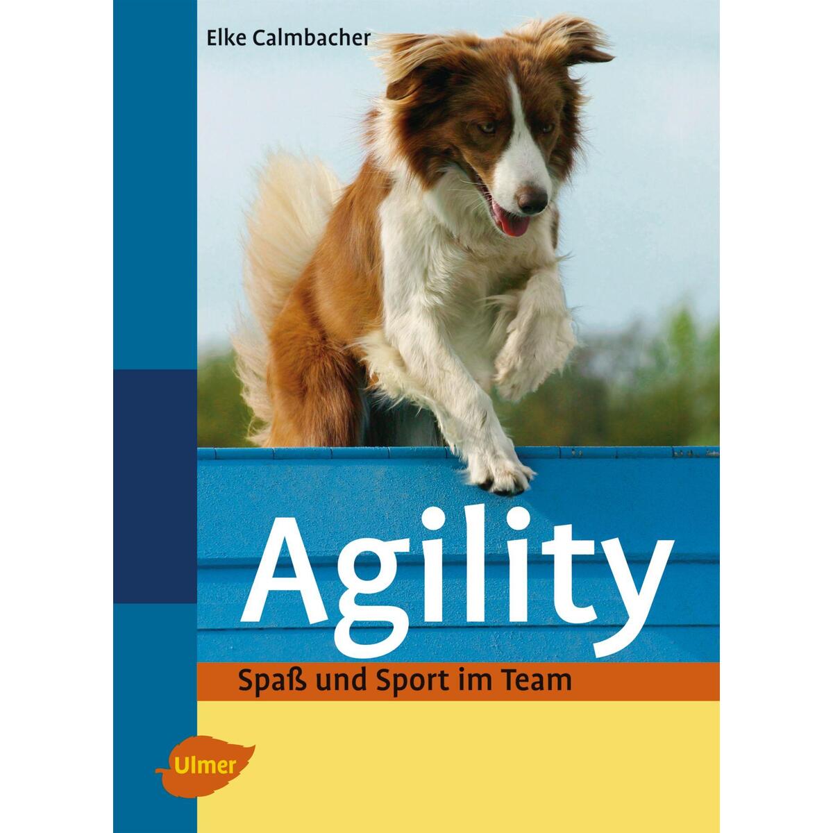 Agility von Ulmer Eugen Verlag