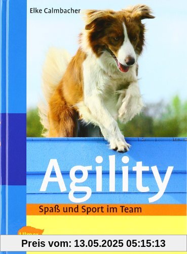 Agility: Spaß und Sport im Team