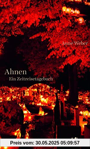Ahnen: Ein Zeitreisetagebuch
