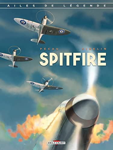 Ailes de légende T01: Spitfire von DELCOURT