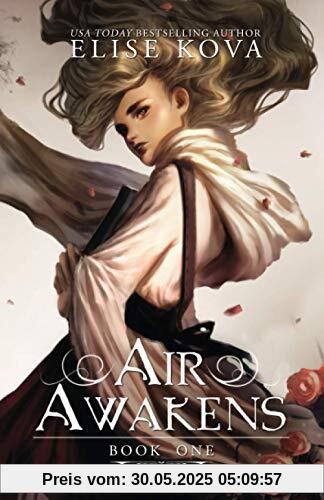 Air Awakens (Air Awakens Series, Band 1)