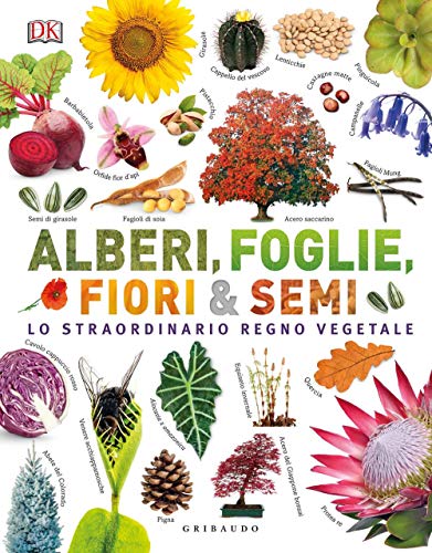 Alberi, foglie, fiori & semi. Lo straordinario regno vegetale. Ediz. a colori (Enciclopedia per ragazzi) von ENCICLOPEDIA PER RAGAZZI
