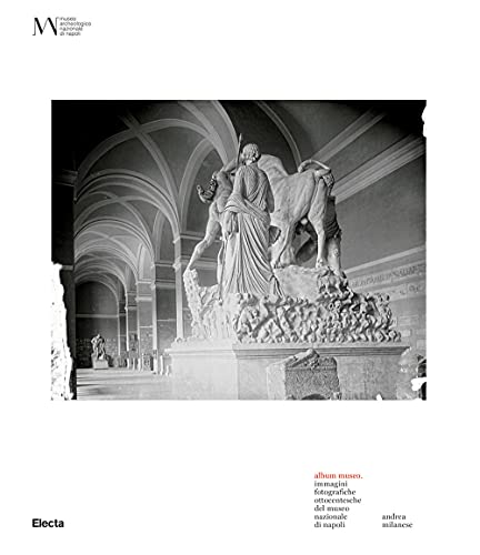Album Museo. Immagini fotografiche ottocentesche del Museo Nazionale di Napoli. Ediz. illustrata Album Museo. Immagini fotografiche ottocentesche del Museo Nazionale di Napoli. Ediz. illustrata von Electa