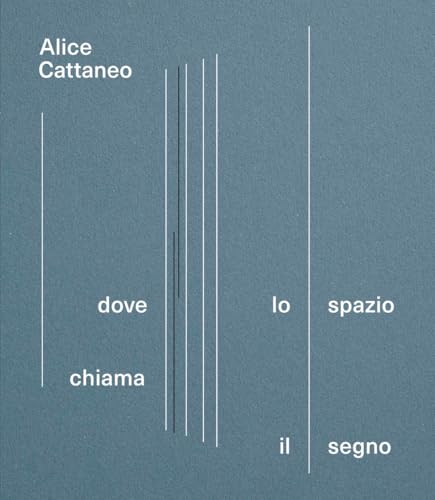 Alice Cattaneo. Dove lo spazio chiama il segno. Catalogo della mostra (Torino, 16 aprile-7 settembre 2025) von Corraini