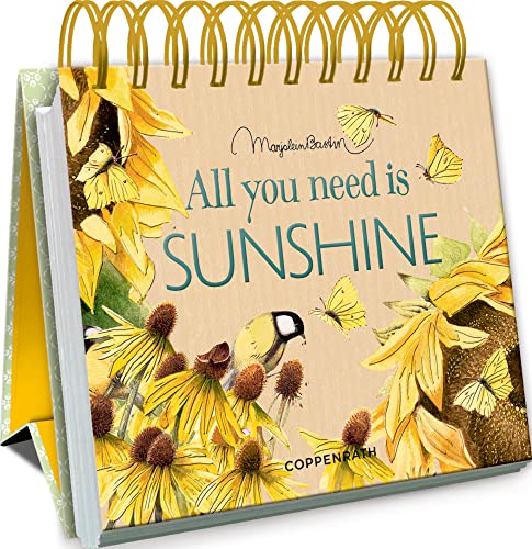 All you need is sunshine (Kleines Spiralaufstellbuch) von Die Spiegelburg