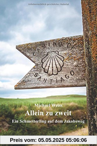 Allein zu zweit: Ein Schmetterling auf dem Jakobsweg
