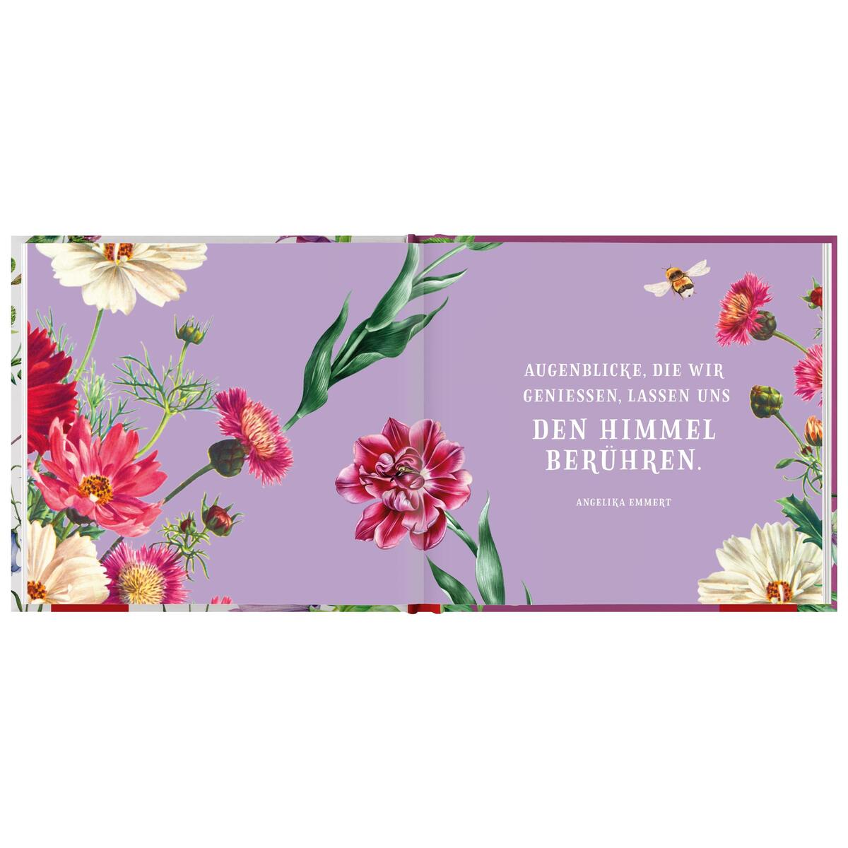 Alles Liebe Alles Liebe von Groh Verlag