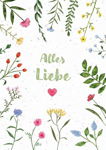 Alles Liebe: Faltkarte aus Samenpapier (Gemeinsamzeit statt Krimskrams) von Brunnen Verlag GmbH