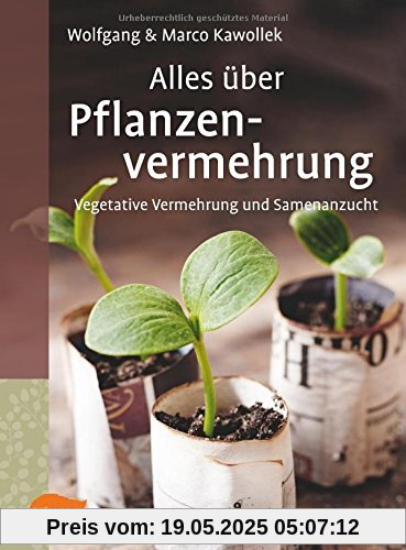 Alles über Pflanzenvermehrung: Vegetative Vermehrung und Samenanzucht