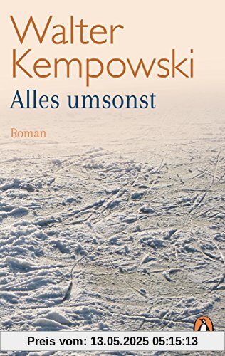 Alles umsonst: Roman