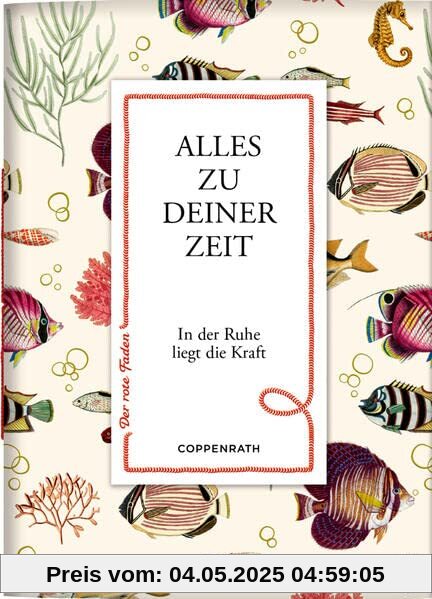 Alles zu deiner Zeit: In der Ruhe liegt die Kraft (Der rote Faden, Band 183)