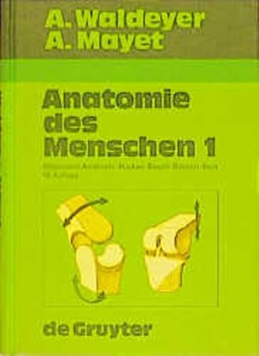 Allgemeine Anatomie. Allgemeine Histologie. Allgemeine Embryologie. Rücken. Bauch. Becken. Bein: Allgemeine Anatomie - Allgmeine Histologie - ... und praktischen Gesichtspunkten)