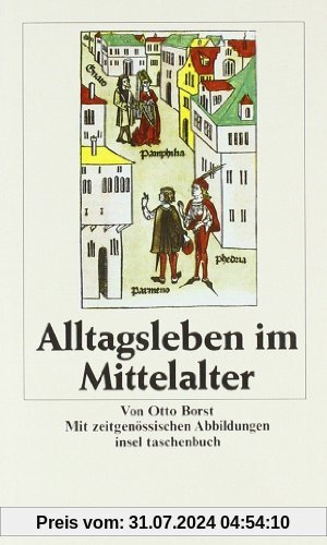Alltagsleben im Mittelalter (insel taschenbuch)